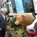 고대축산 뉴시스
