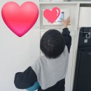 한솔태권도장 이미지