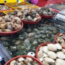 깡통청춘 이미지