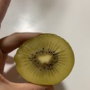삼남매과일마트