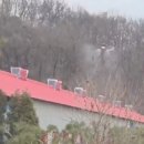 메추리농장 이미지