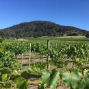 근해농장 이미지