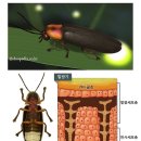 별밤민속 이미지
