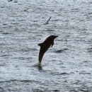 일과1리 이미지