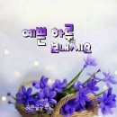 예쁜하루
