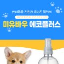 모두싹청소 이미지