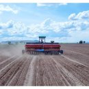 황금물결 농장 이미지