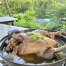 만물농장 이미지