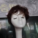 내포가발