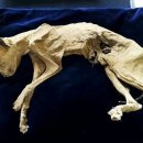 할머니집 이미지