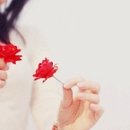 R=VD 이미지