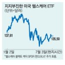 헬스케어주