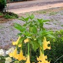 월현농장 이미지