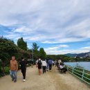 월광세탁소 | [대구 수성못 페스티벌 리얼후기]- 들안길 푸드페스티벌