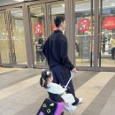 매곡천 자전거길L | 아이랑 여행이 편해지는 유아 타는캐리어 마이크로 러기지 이지 사용후기