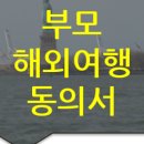 솔루션(SOLUTION) 번역행정사 이미지