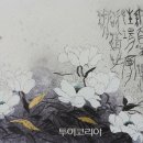 비밀정원 이미지