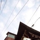 소담떡방 - 남구 제중로 29 | 소담떡방