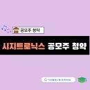 (주)시지트로닉스 네이버블로그
