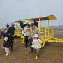 갯벌건어물 - 남동구 장도로 85 | 천안 아이랑 서천여행 선도리 갯벌 무창포 코스