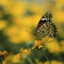 화원옥포 영업소 이미지