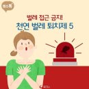 천연 벌레 퇴치제 5 이미지