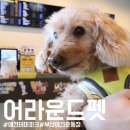 올어라운드펫