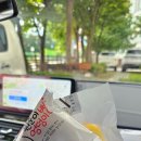 강릉 빵집 베이커리가루 입암점에서 원준이 엉덩이빵 구매한 후기 (내돈내산)