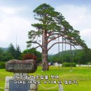정이품 이미지