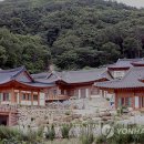 도락민박 이미지