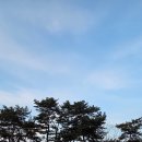 송정솔바람해변3 | 다시 가고싶은 바다앞 캠핑장 남해 송정 솔바람 해변캠핑장 B9