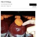 용장글램핑