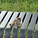 시우상회 이미지