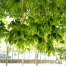 호남고속철도 3단계 노선..완도항이냐? 진도항이냐? / KBC뉴스 이미지