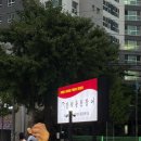 영천야구장 | 마산장어 NC다이노스 야구장 근처 맛집 장덕풍천장어