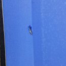 맛세이 당구클럽 이미지