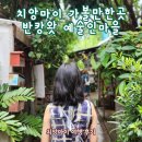 예술인마을 | 치앙마이 반캉왓 예술인마을과 맛집 방문 후기