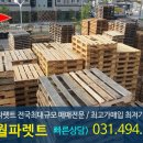 신반월환경 이미지