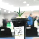 한국유통공판장