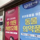 서울 광장시장 맛집 온유약국 다녀 온 후기 (주차 정보)