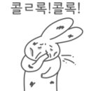야피 이미지