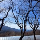 지리산풀꽃농원민박 이미지