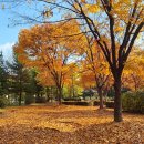 봉오대로 이미지