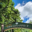 지리산(방장산)대원사계곡. 이미지