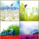 朱熹주희의 11 齋銘재명(9~11)-居仁齋銘거인재명,由義齋銘유의재명,學古齋銘학고재명/왕은 없다,공습 성공,테헤란,핵연료,BTS 페스타 이미지