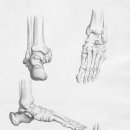 바른오늘의원 이미지