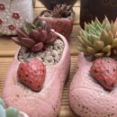 미성아구찜 이미지