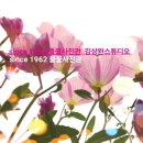 이마트(관) 이미지