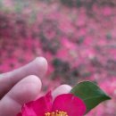 더뷰(3) 이미지