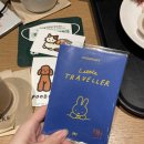 2022-04-0002 - 화성시 만세구 | (2022) 12월 도쿄여행 🗼 1편 | 하라주쿠, 오모테산도, 시부야 | 에어포스 👟 | CDG 카드지갑 👛